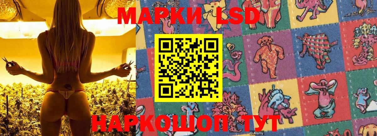 Марки N-bome 1,8мг  Наркотические марки  Вход с VPN  Камень-на-Оби  Марки N-bome 1,8мг 