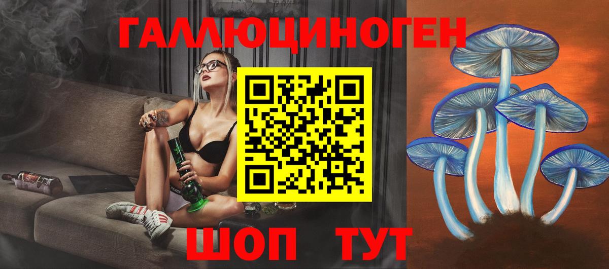 Камень-на-Оби  Галлюциногенные грибы Cubensis  Вход с VPN 